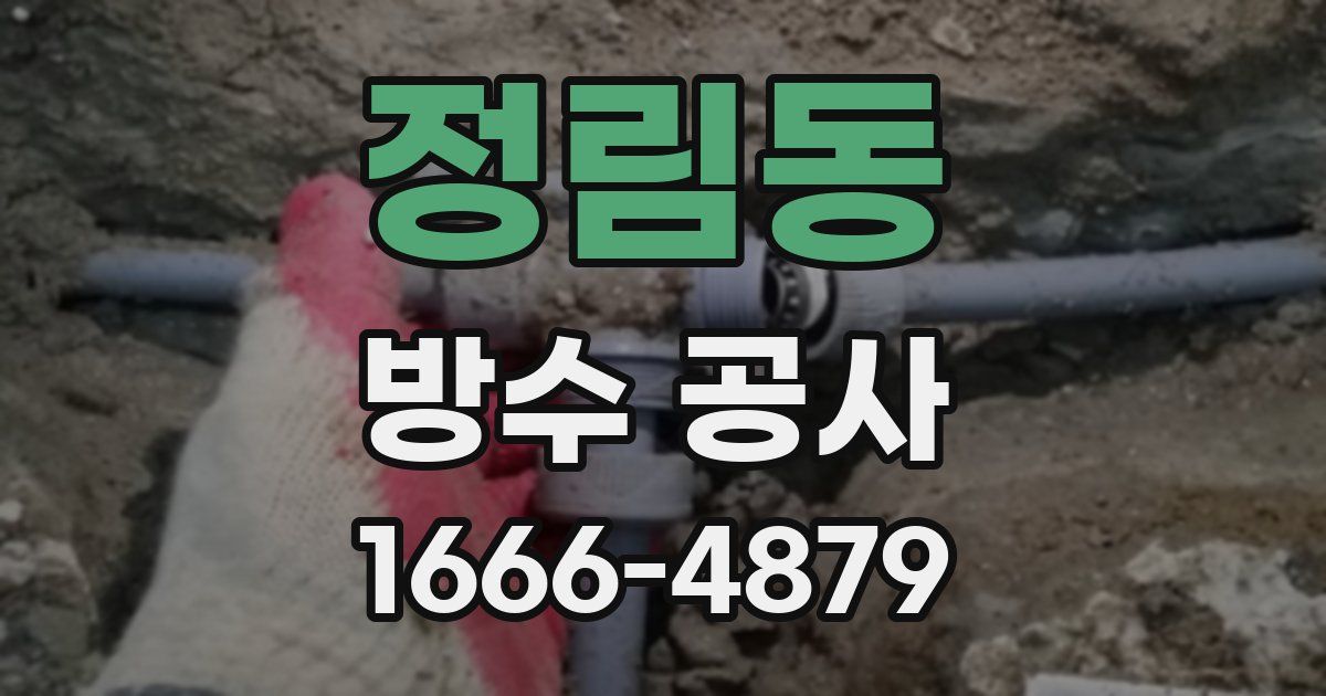 정림동 방수 공사