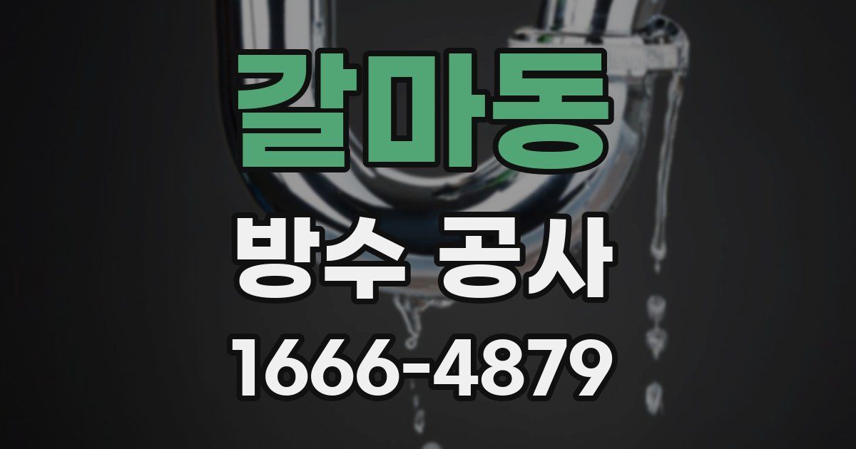 갈마동 방수 공사