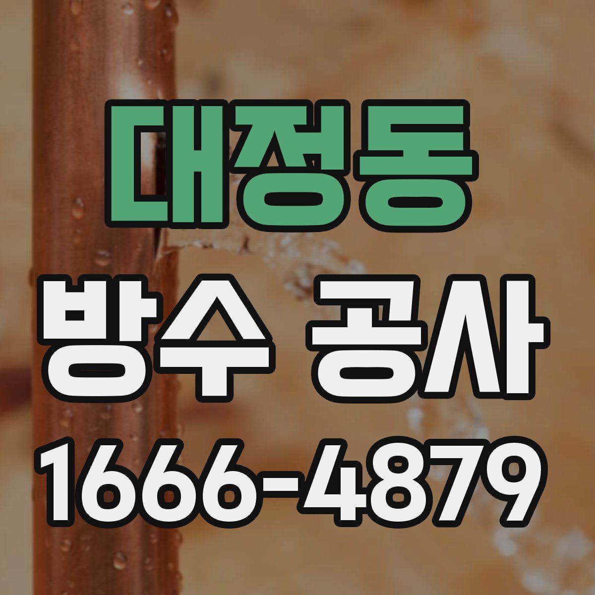 대정동 방수 공사