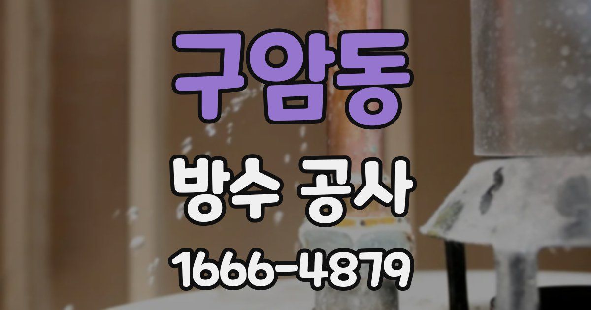 구암동 방수 공사