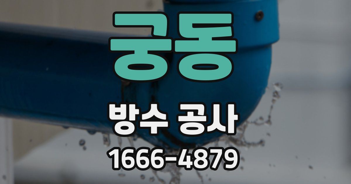 궁동 방수 공사