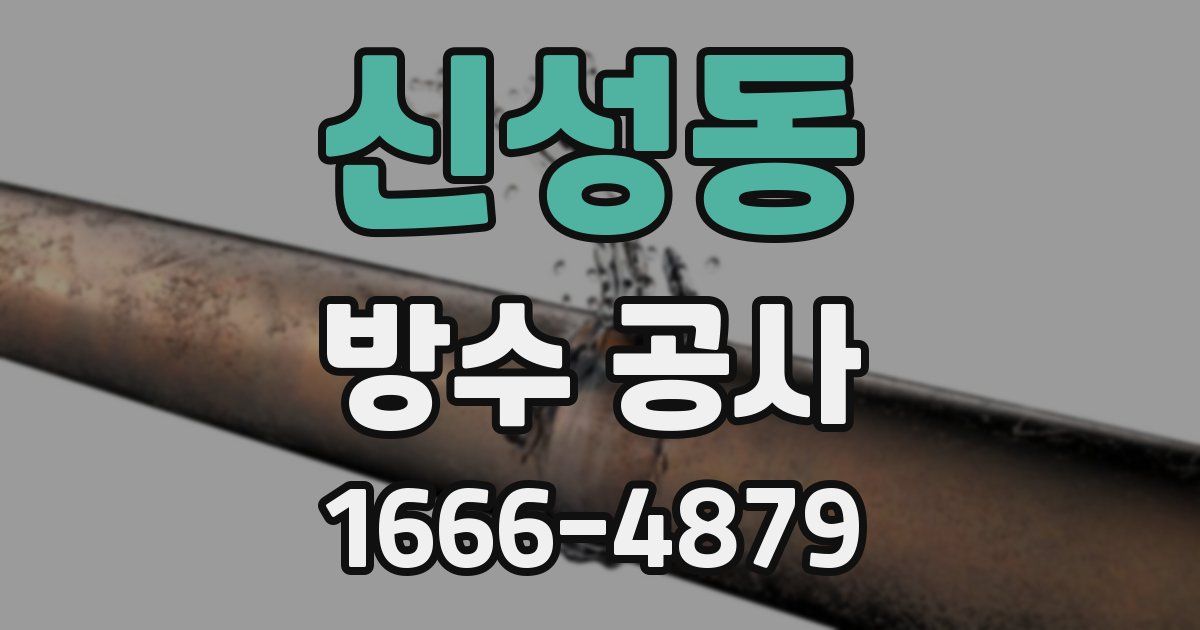 신성동 방수 공사