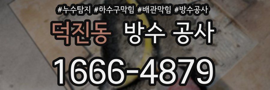 덕진동 방수 공사