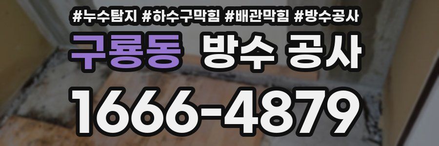 구룡동 방수 공사