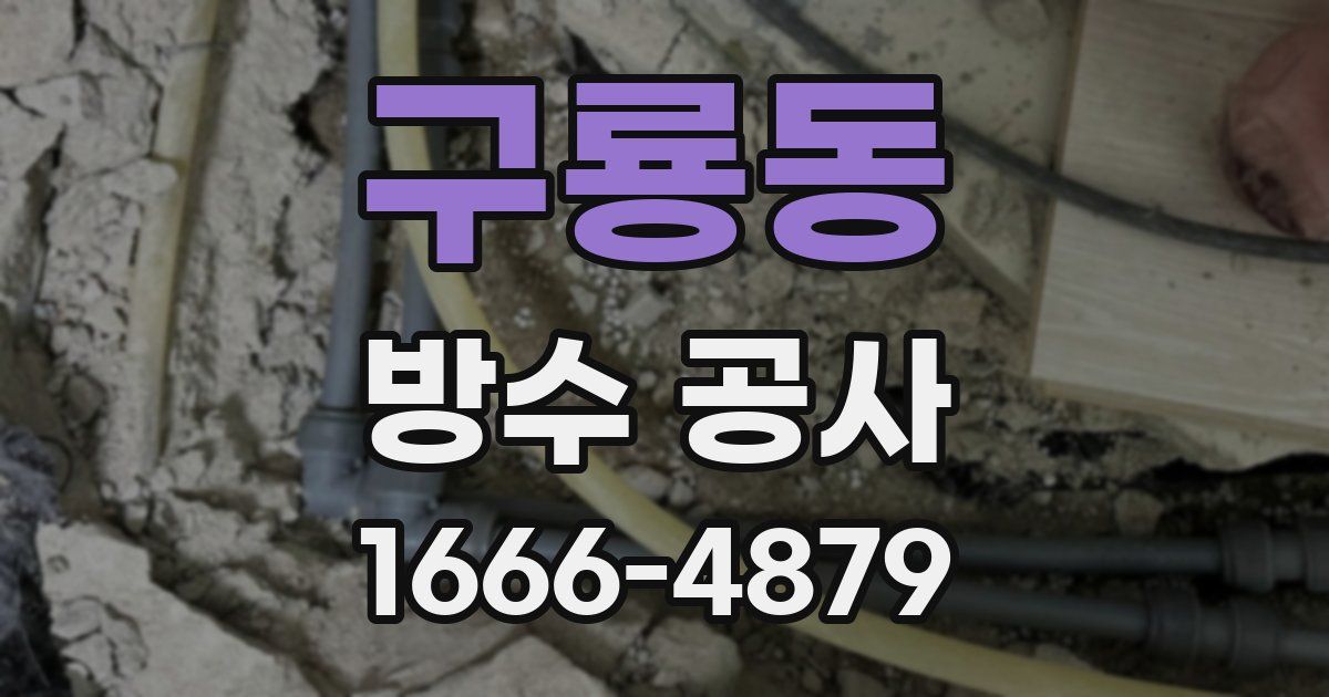 구룡동 방수 공사