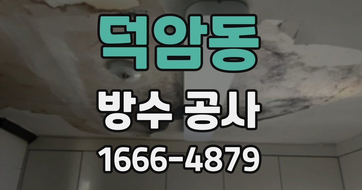 덕암동 방수 공사