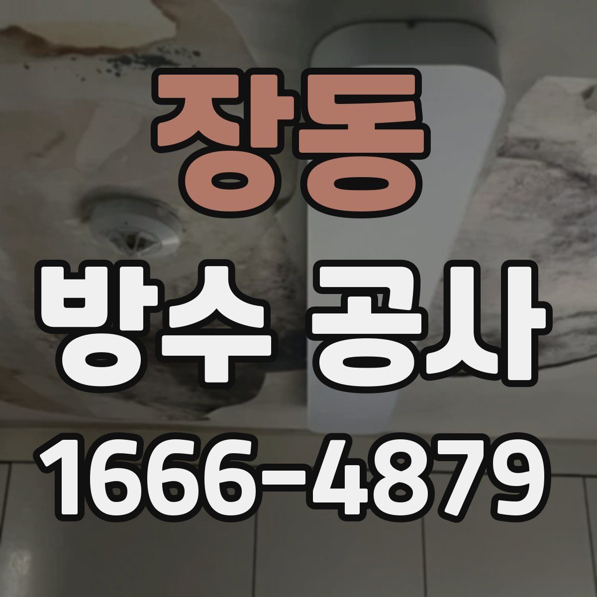 장동 방수 공사