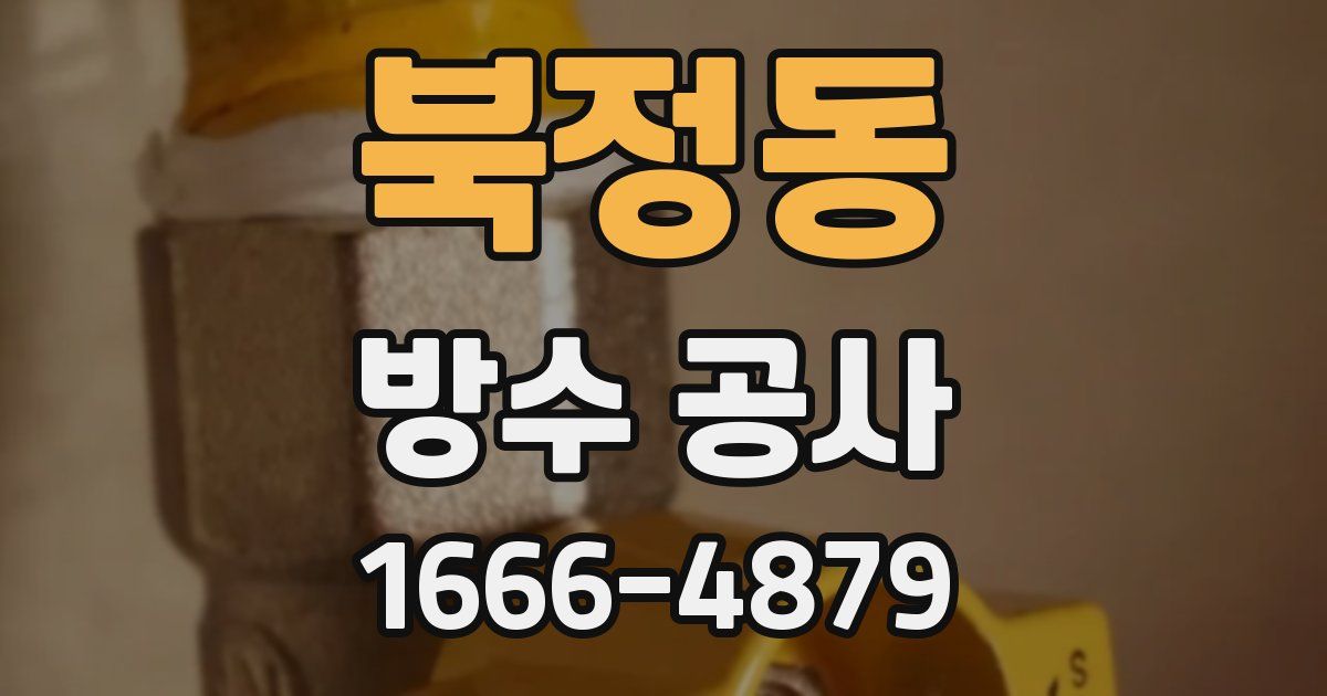 북정동 방수 공사