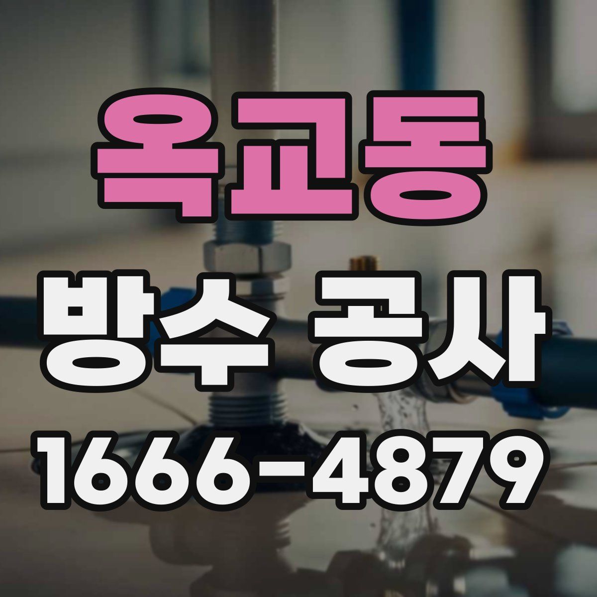 옥교동 방수 공사