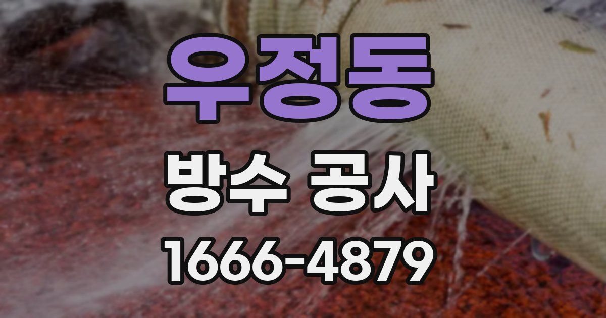 우정동 방수 공사