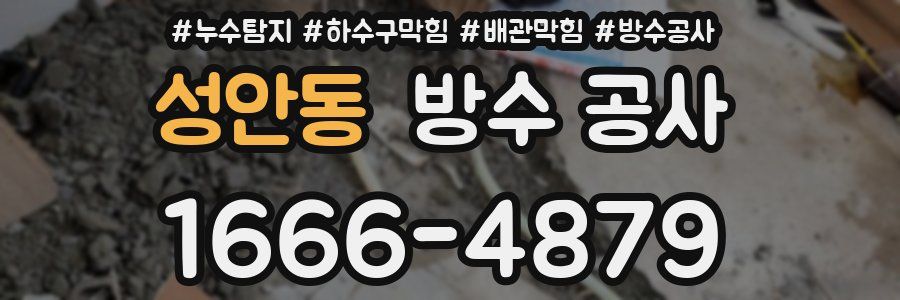 성안동 방수 공사