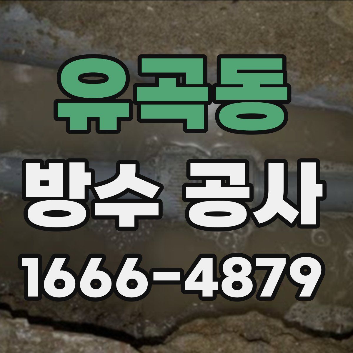 유곡동 방수 공사