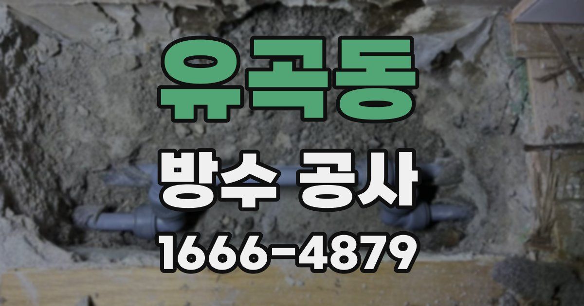 유곡동 방수 공사