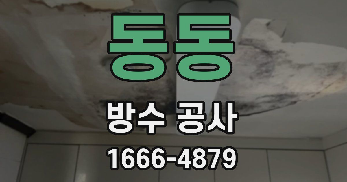 동동 방수 공사