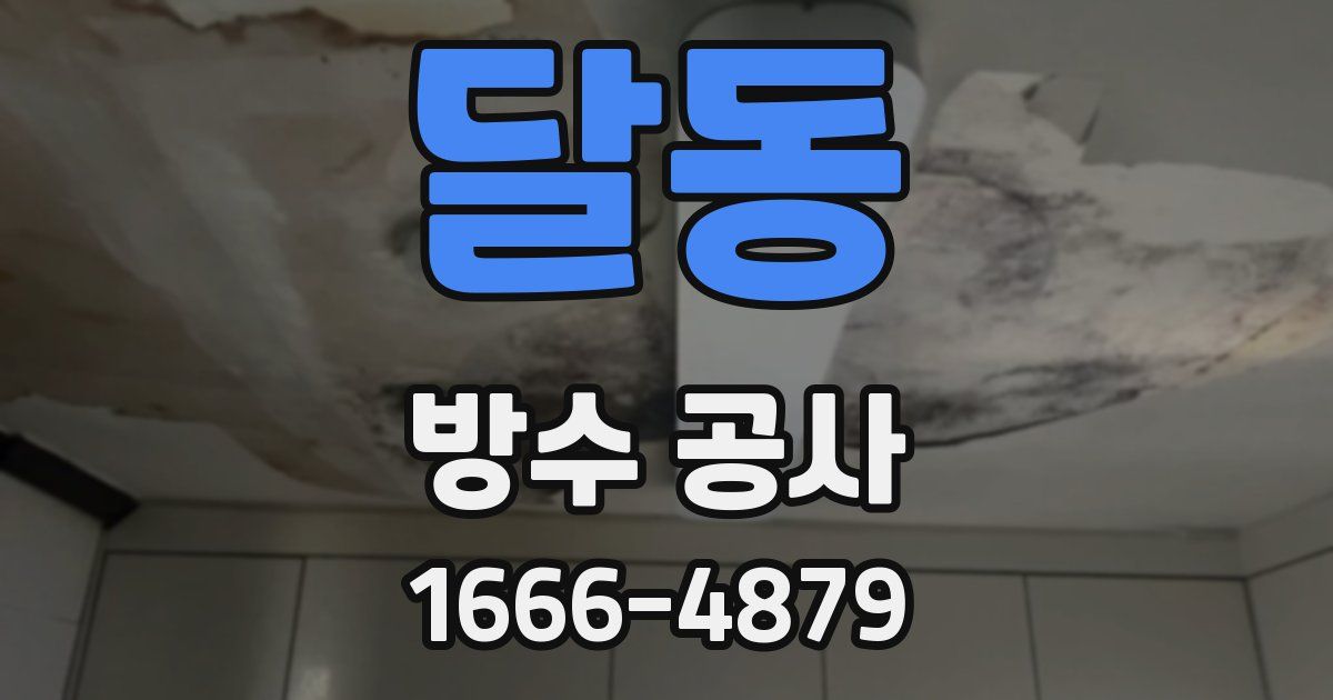 달동 방수 공사