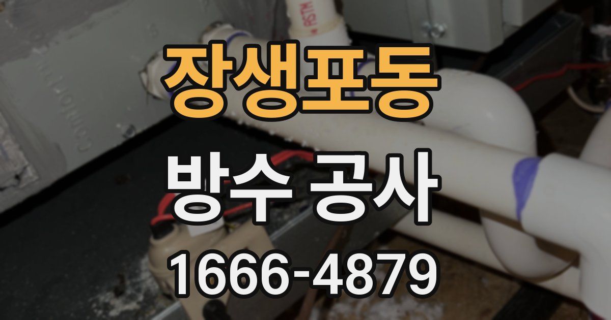 장생포동 방수 공사