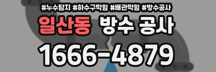 일산동 방수 공사