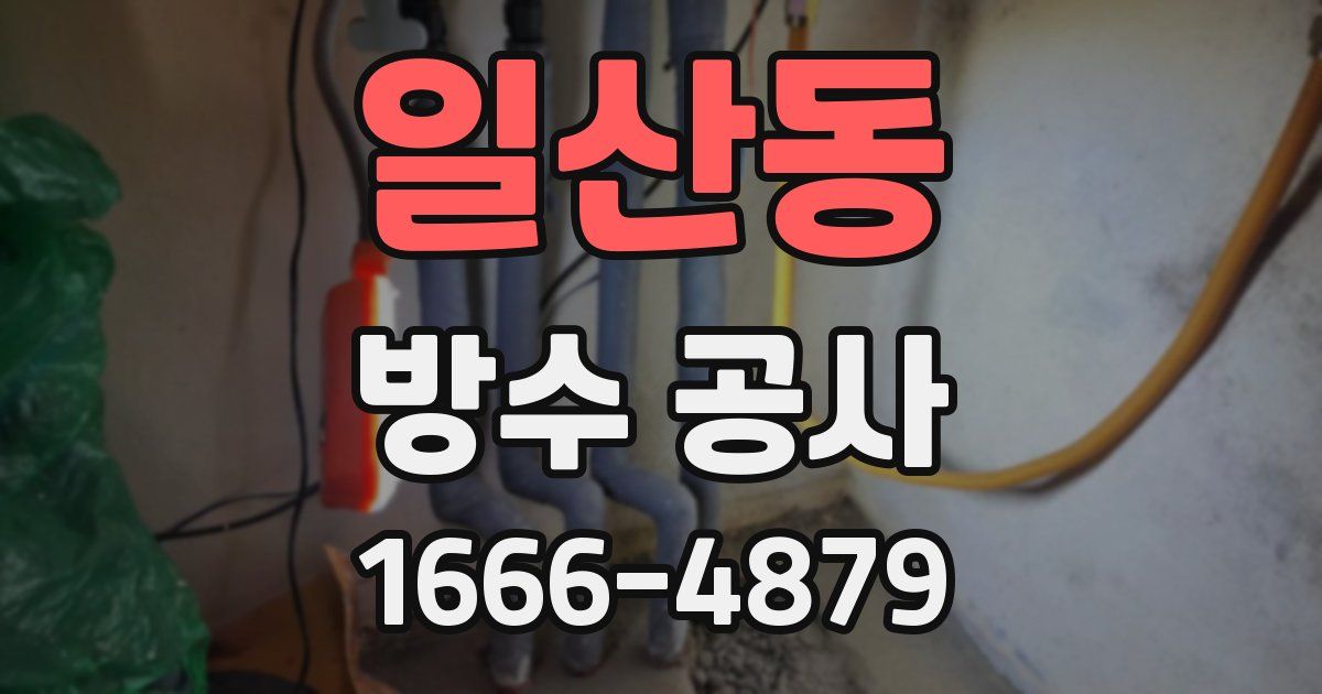 일산동 방수 공사