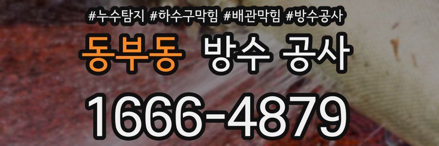 동부동 방수 공사