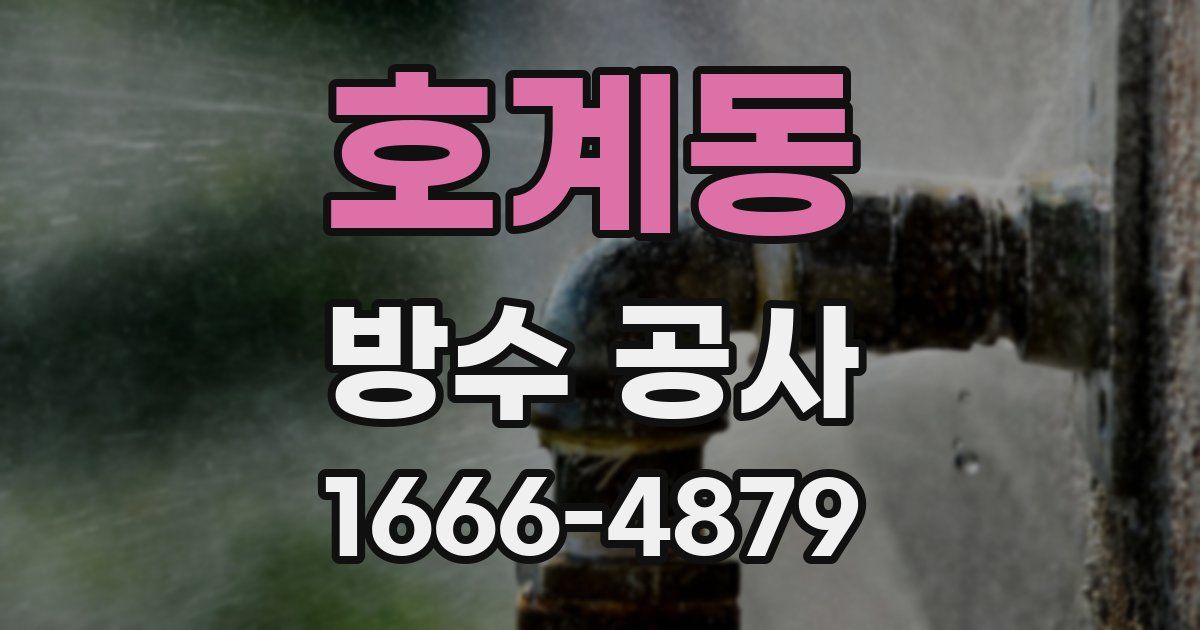 호계동 방수 공사