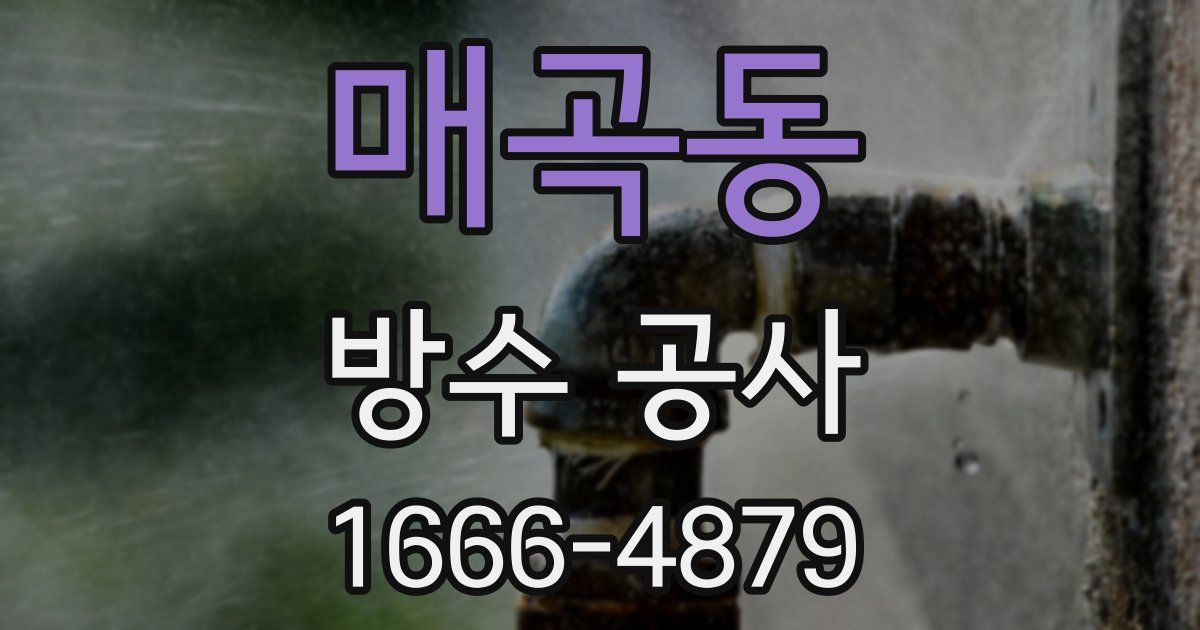 매곡동 방수 공사