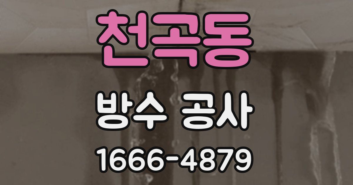 천곡동 방수 공사