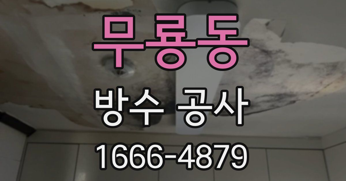 무룡동 방수 공사