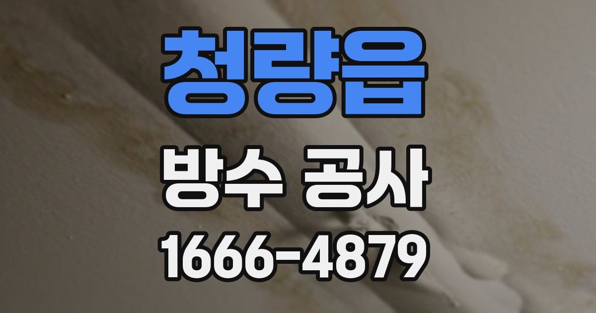 청량읍 방수 공사