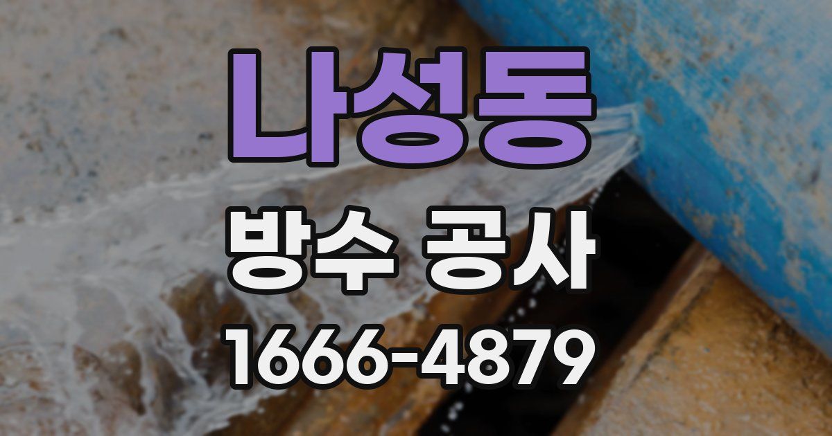 나성동 방수 공사