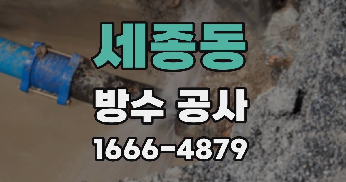 세종동 방수 공사