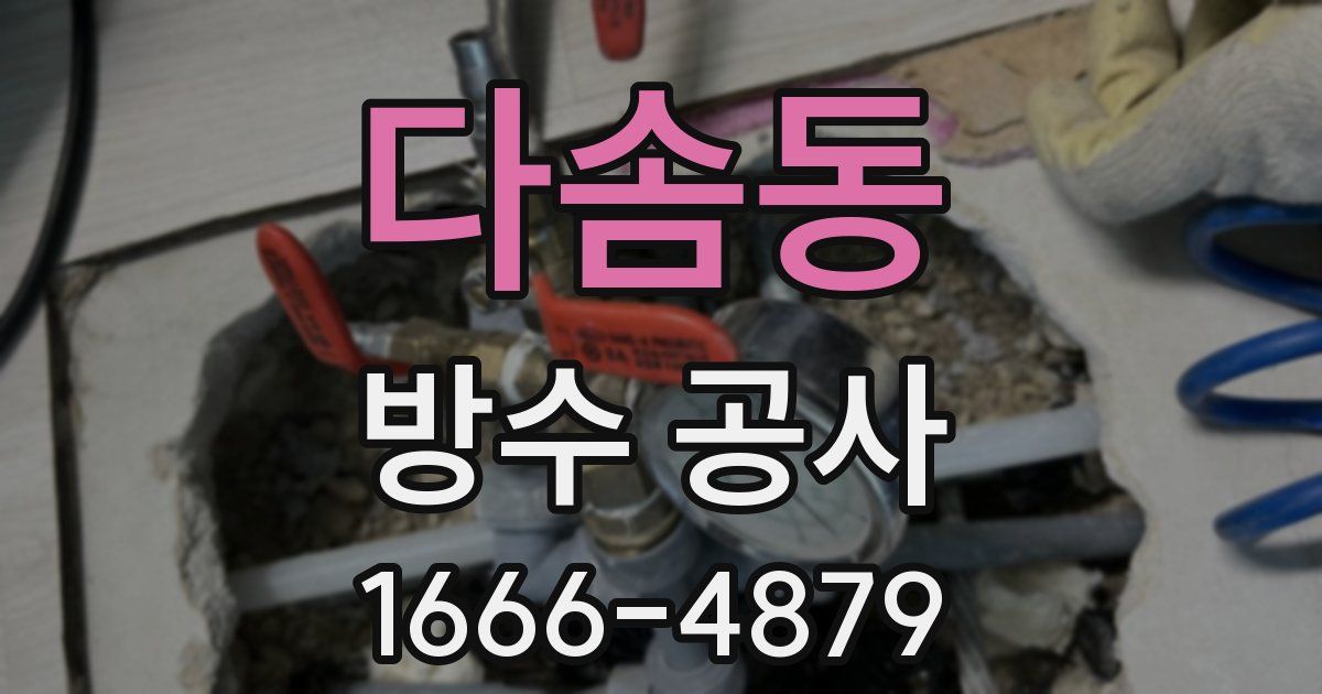 다솜동 방수 공사
