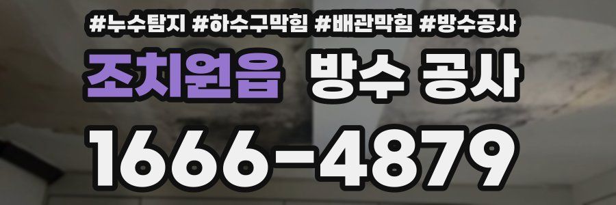조치원읍 방수 공사