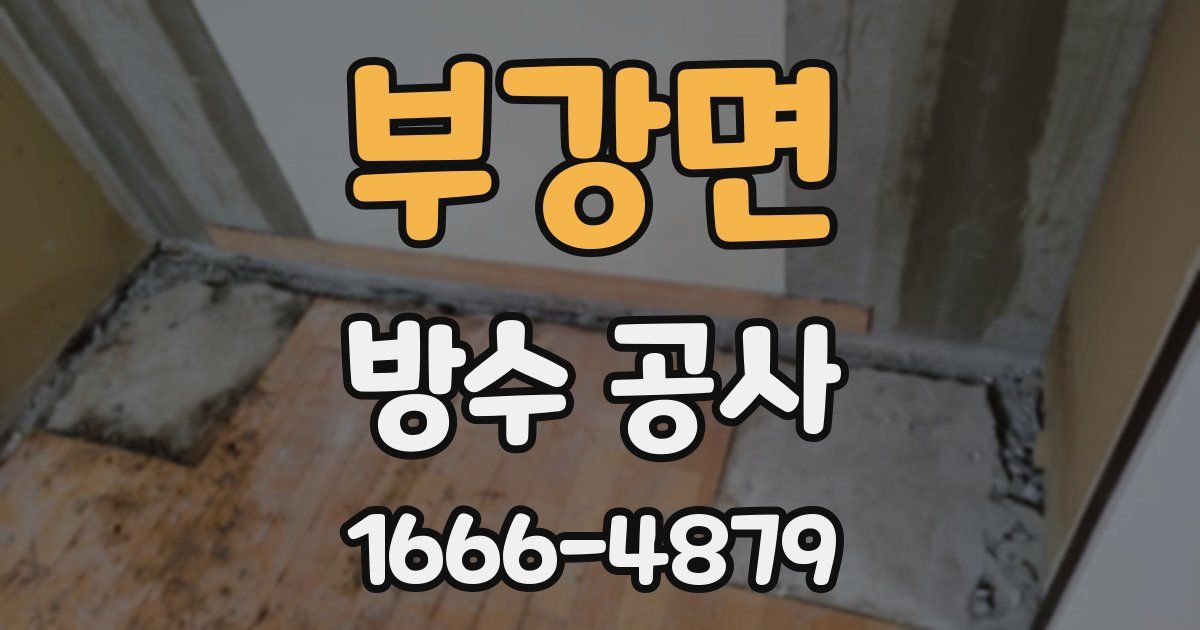 부강면 방수 공사