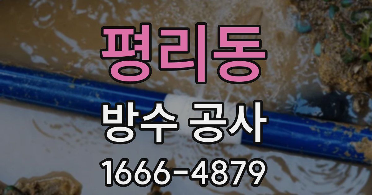 평리동 방수 공사