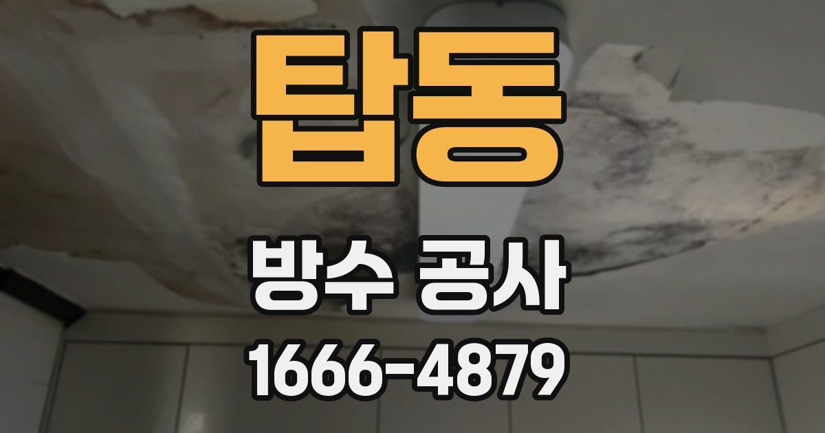 탑동 방수 공사