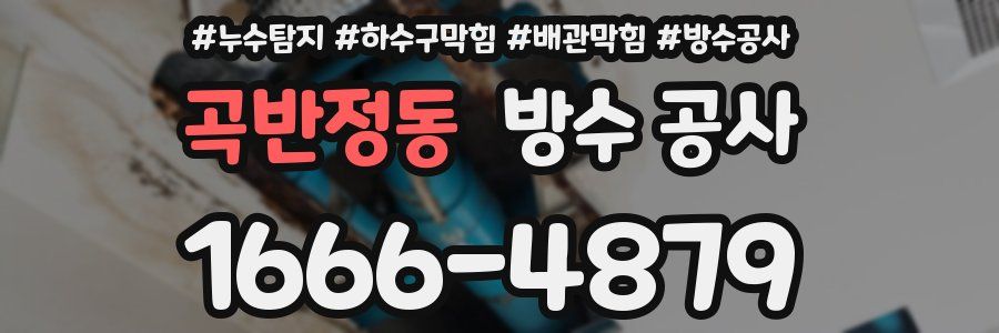 곡반정동 방수 공사
