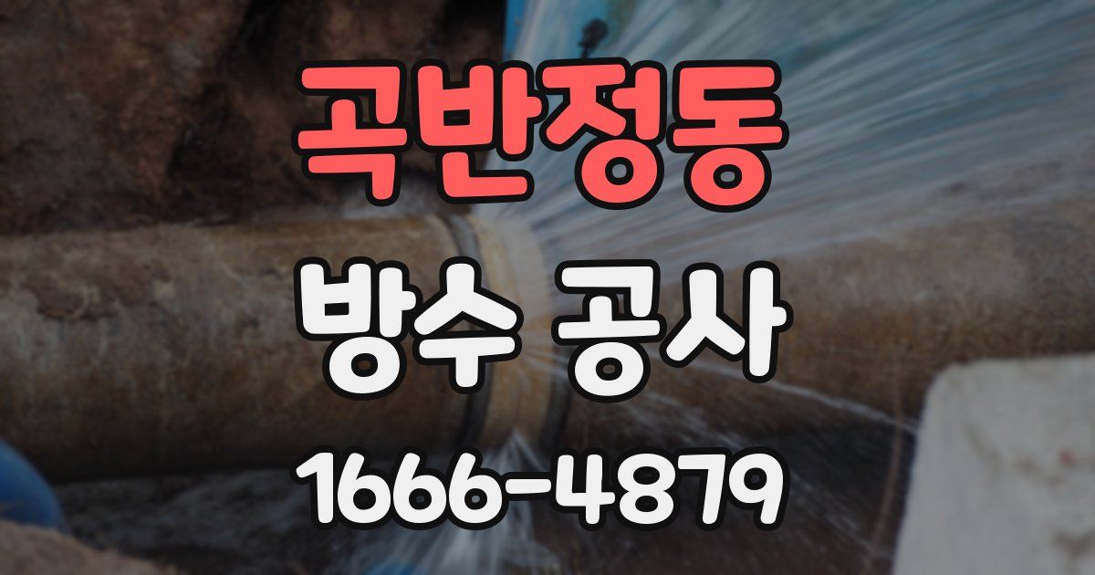 곡반정동 방수 공사