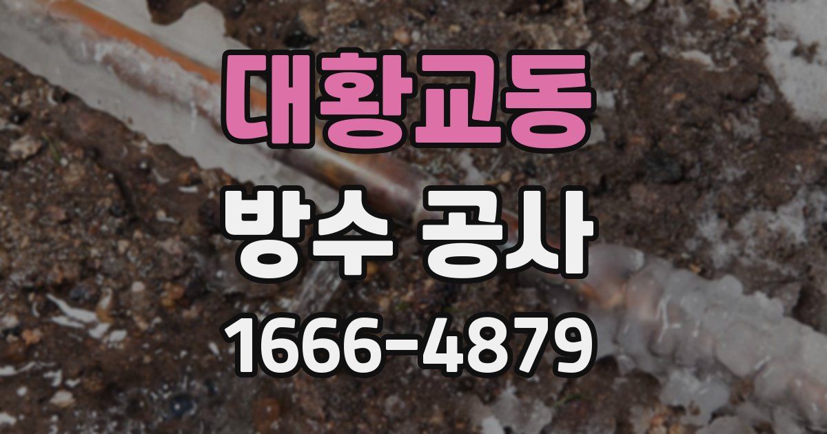 대황교동 방수 공사