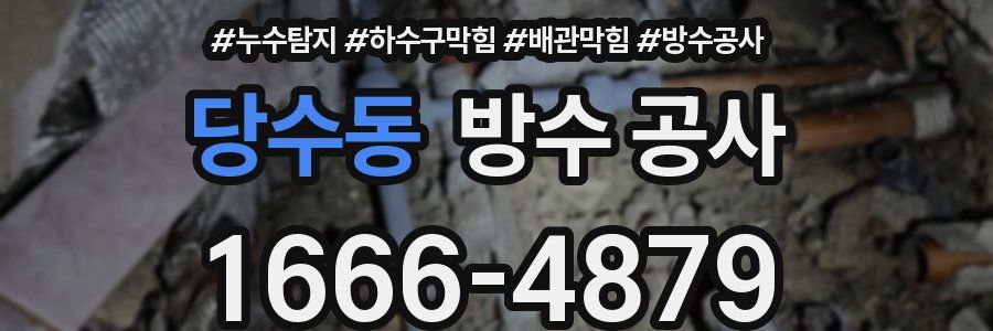 당수동 방수 공사