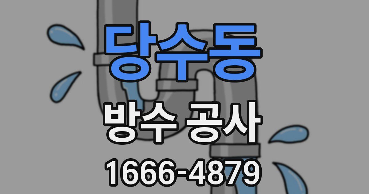 당수동 방수 공사