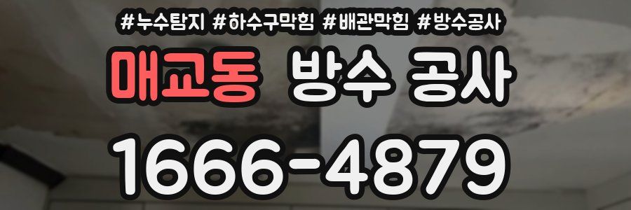 매교동 방수 공사