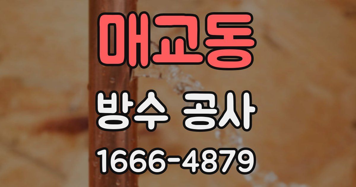 매교동 방수 공사