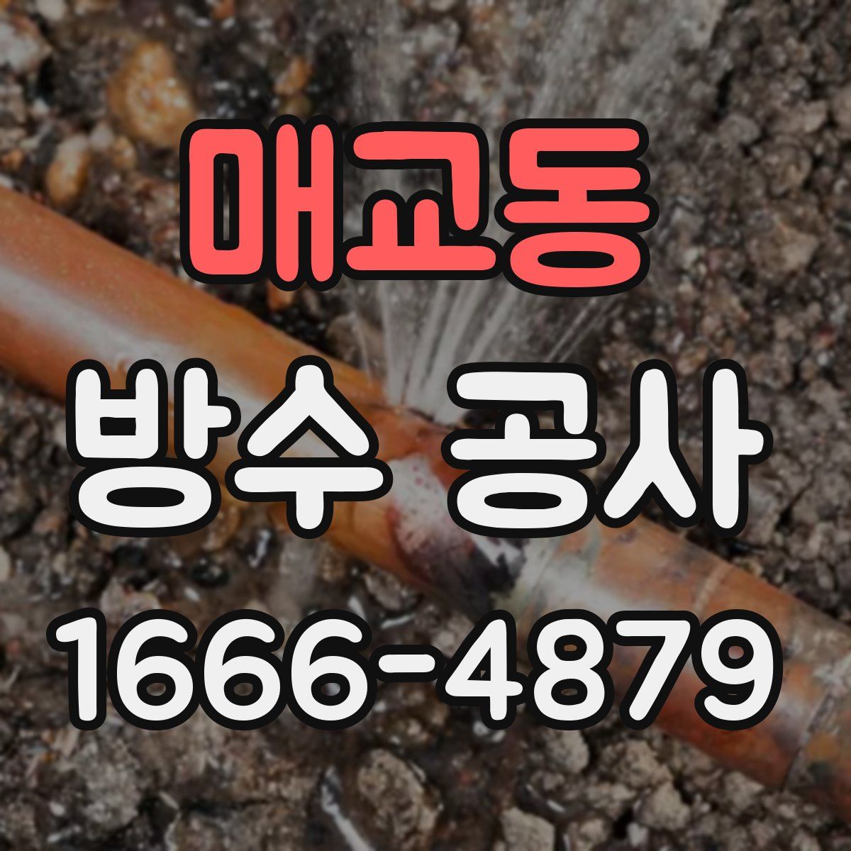 매교동 방수 공사