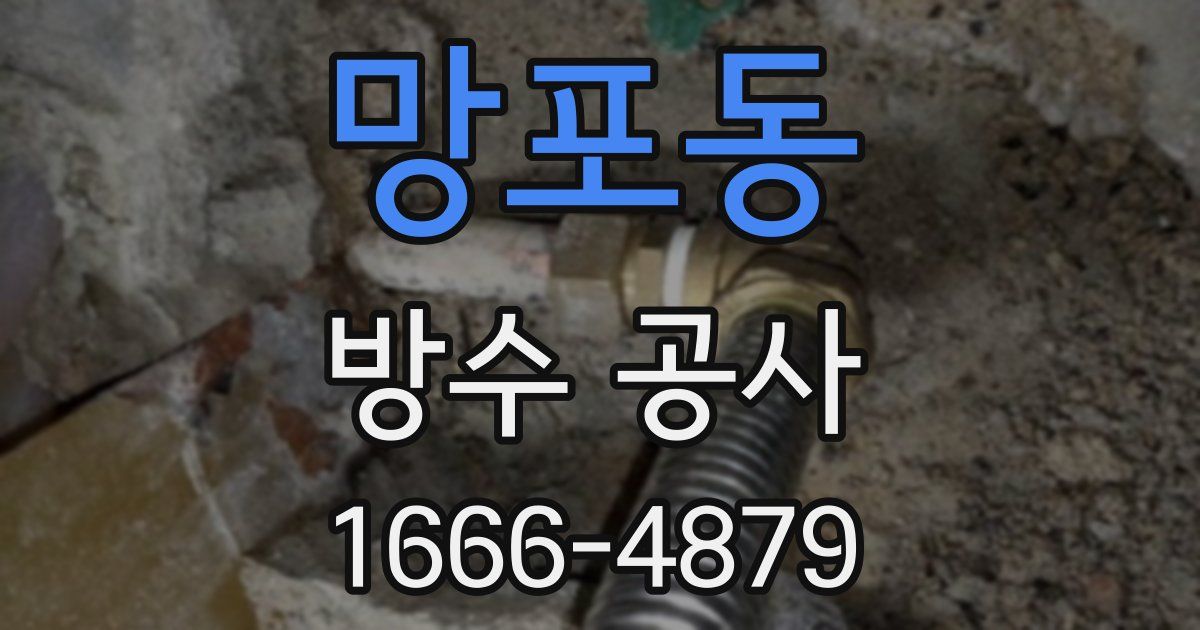 망포동 방수 공사
