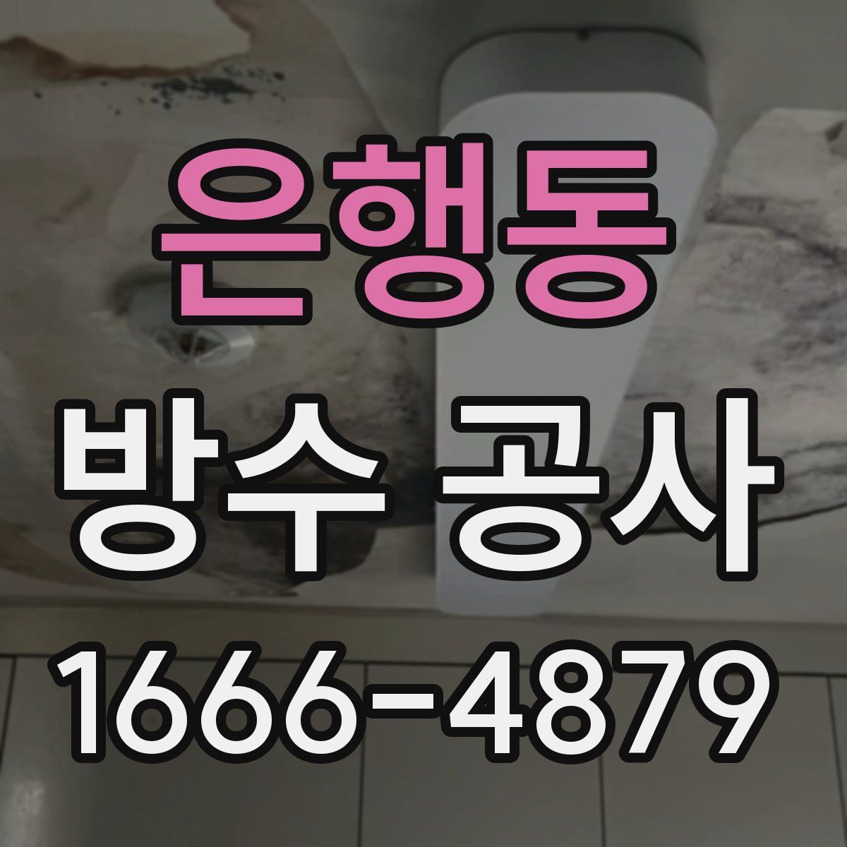 은행동 방수 공사