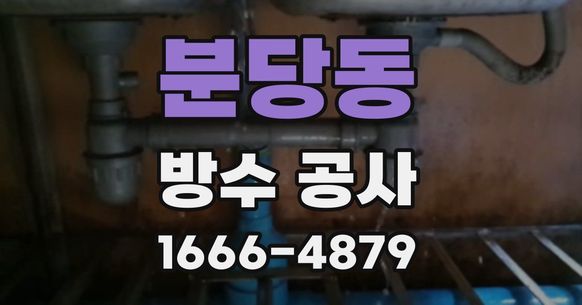 분당동 방수 공사
