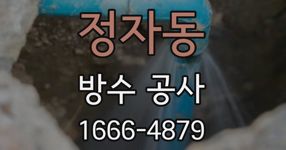 정자동 방수 공사