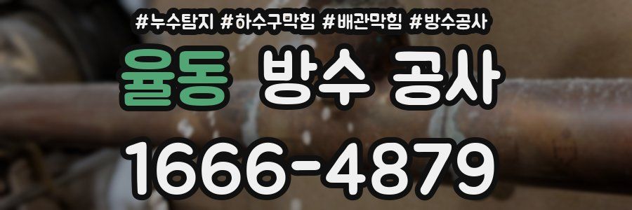 율동 방수 공사