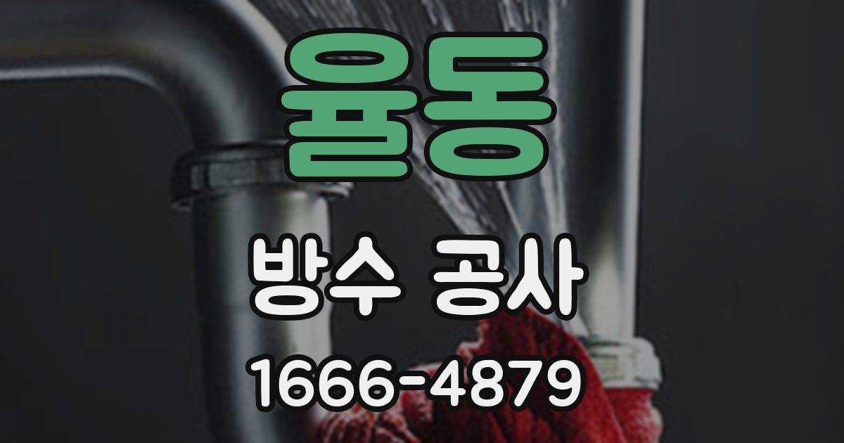 율동 방수 공사