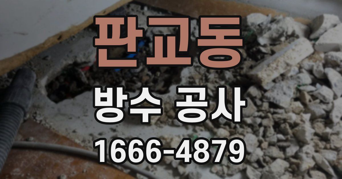 판교동 방수 공사